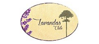 Lavandas